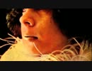 Gal Costa - Namorinho De Portão （1969）