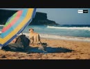 Stereo Palma ft. Craig David - Our Love 【PV】