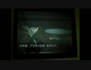 ポケモンを銀の半分しかやってない人間がホワイト２を実況プレイ　＃46