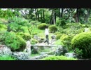 【オリジナル】　吉原ラメント踊ってみた　【かのん】