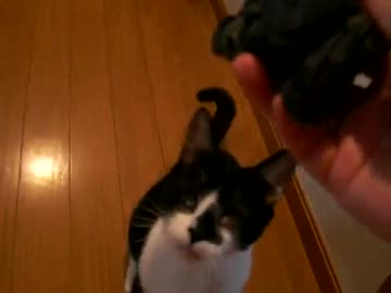 【心眼】見えなくっても大丈夫！