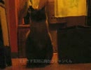 元野良猫ジャンくん　深夜の生態を見てみたい