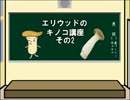 【ゆっくり実況】初代ポケモン赤を炎タイプで攻略する Part10