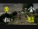 目指せ格闘王！ダークソウル格闘武器縛り Part4【字幕】