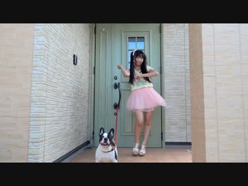 【りりあにゃん】 ドレミファロンド ワンちゃん＆おまけ＋１羽  と一緒♫