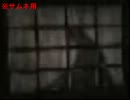 怖ければ二人でやればいい「零～zero～」を実況プレイしてみた　十一葉目
