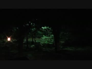台風17号 通過後 風強し 2012.09.30