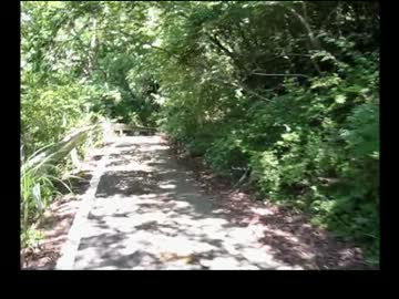 【釣り入門】とりあえず1匹、魚を釣ってみよう！【夏・バス】