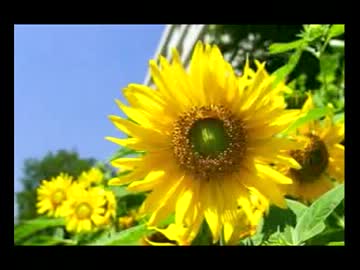 オリジナル曲「2012年9月6日」