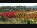 【実況】北海道一周ドライブ・登山【その４】