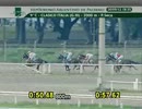 【世界の競馬場から】2012年イタリア賞　ミスターティン