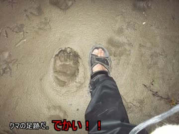 ユーコン川一人旅part3～カナダからアラスカ1500km～
