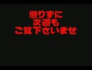 【挑戦中】ギネスに挑戦、羽子板ラリー【八王子】