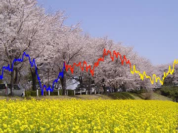 ｿｳｶﾉｳﾂﾛｲ