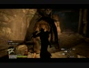 【実況】【Dragon's Dogma】戦士デレクが再びドラゴン討伐に向かう！Part13