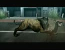 【実況】リア獣の世代交代物語【TOKYO JUNGLE】 十三代目
