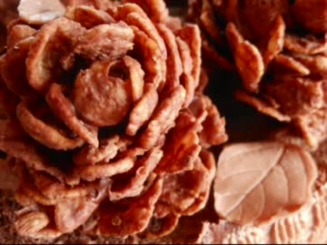 【12色のバースデーケーキ】10月の散歩道