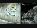 AVA in DualSight  P90Harimau