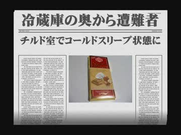 冷蔵庫の奥から出てきた輸入菓子を食べてみた