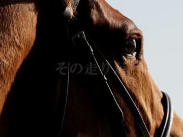 2006 JRA CM MAD 凱旋門賞 - 2012 オルフェーヴル版
