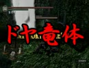 竜姉のヘタレ白ファン活動記その１５