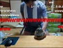 エクスカリパーとは エクスカリパーとは 単語記事 ニコニコ大百科
