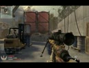 [pc]cod:mw2　糞AIM保存用