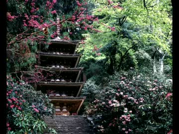 【四季】日本の風景 Nippon Beats.【花鳥風月】