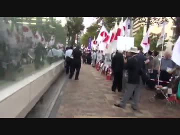 サファリパークの映像