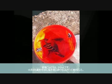 【車載動画】覆面パトに捕まる瞬間が撮れてしまったでござる の巻