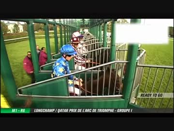 第９１回　凱旋門賞　オルフェーヴル出走