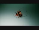 【閲覧注意】AfterEffectsで作る昆虫