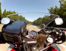 CBR250R　ターンパイク箱根→小田原