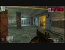 【ＰＳ３】ＣＯＤ：ＢＯ　ドミネーション