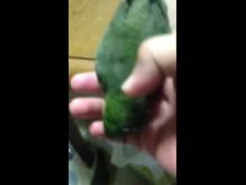 くーたん動画
