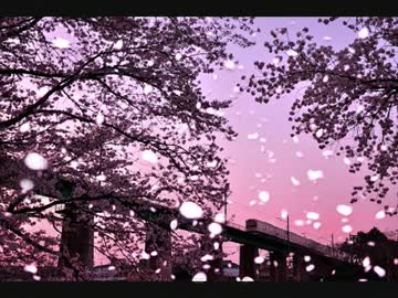【ニコカラ】横顔 ～私の知らない桜～《off vocal》
