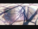 L-SMASHでMuxしたMP4のアップロードテストその５