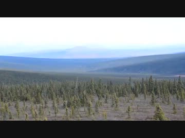 アラスカ　ホワイトマウンテンからの眺め