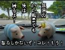 友人と「どうでしょう」してきた　のぶた③