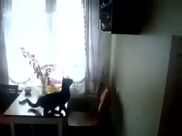 吹いたら負け　ぬこジャンプ