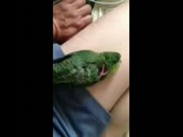 くーたんのリラックス動画