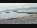 130）2012.5.2　大陽.wmv