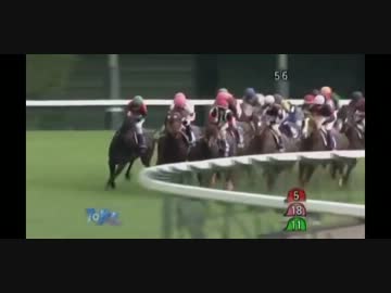 競馬 アクシデント＆面白映像集 Part.1