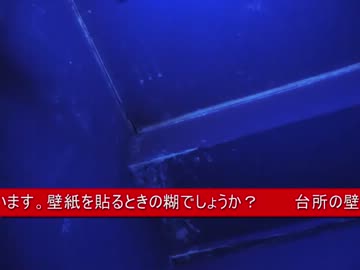 ブラックライトで遊んでみた