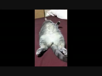 びくんっ