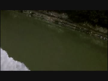 ニコニコ鯉釣りダービー　ｂｙべたべた