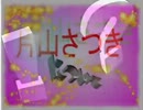 *:.｡. .｡.自民、片山さつき氏とは？:*･゜ﾟ:*･.。