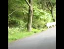 バンデット1250Ｆで走ってきたよー