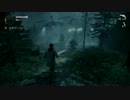 AlanWake プレイ動画 #29
