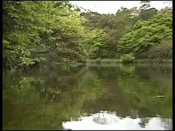 皇居(高画質版) (03 of 03)